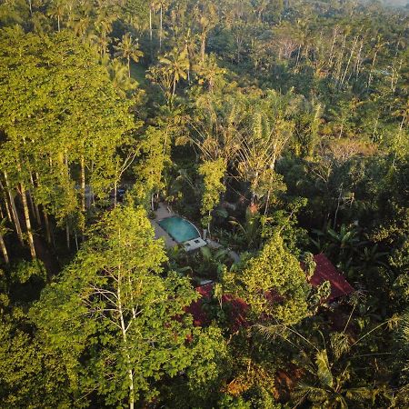 Daydream Lodge Tampaksiring Kültér fotó