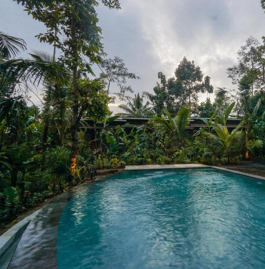 Daydream Lodge Tampaksiring Kültér fotó
