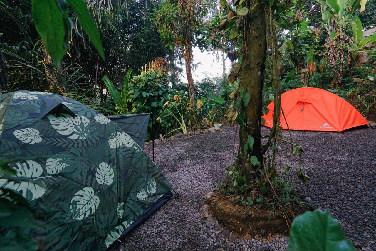 Daydream Lodge Tampaksiring Kültér fotó