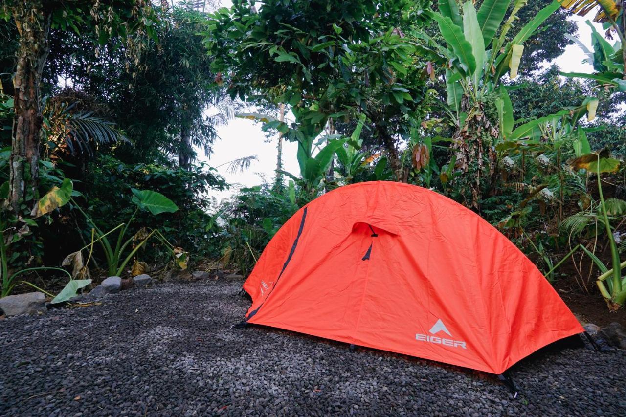 Daydream Lodge Tampaksiring Kültér fotó