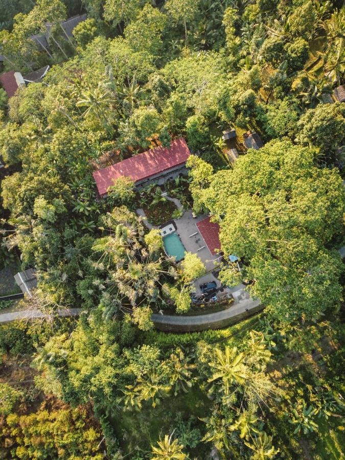 Daydream Lodge Tampaksiring Kültér fotó