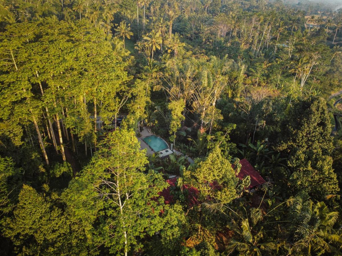 Daydream Lodge Tampaksiring Kültér fotó