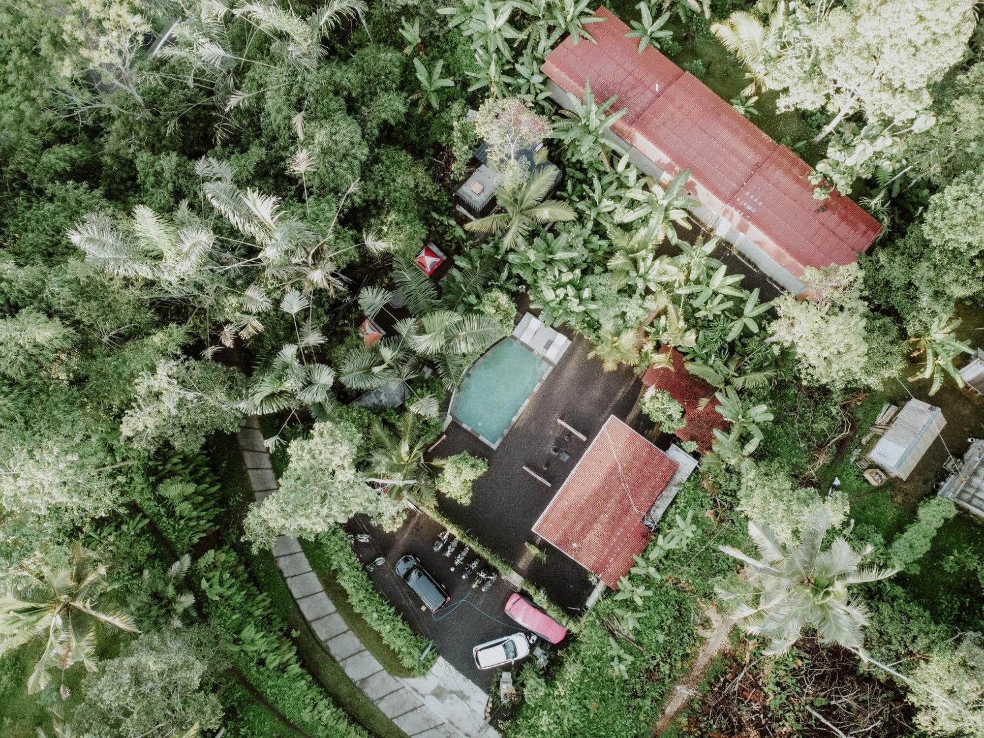 Daydream Lodge Tampaksiring Kültér fotó